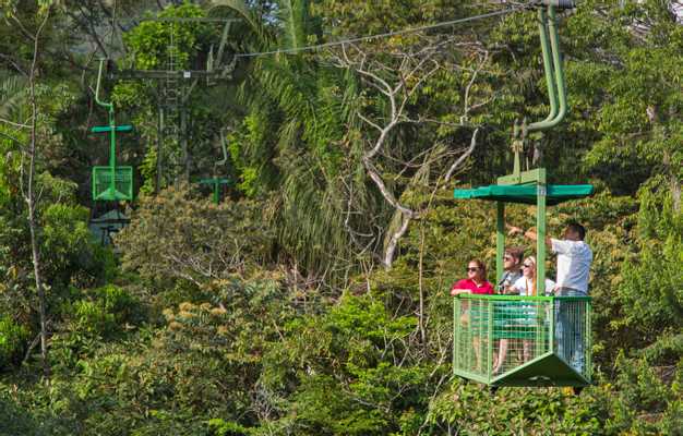 Gamboa Aerial Tram and Wildlife Exhibits